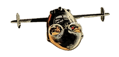 The original 1950's and 60's "Anastasia", with swing-wings extended